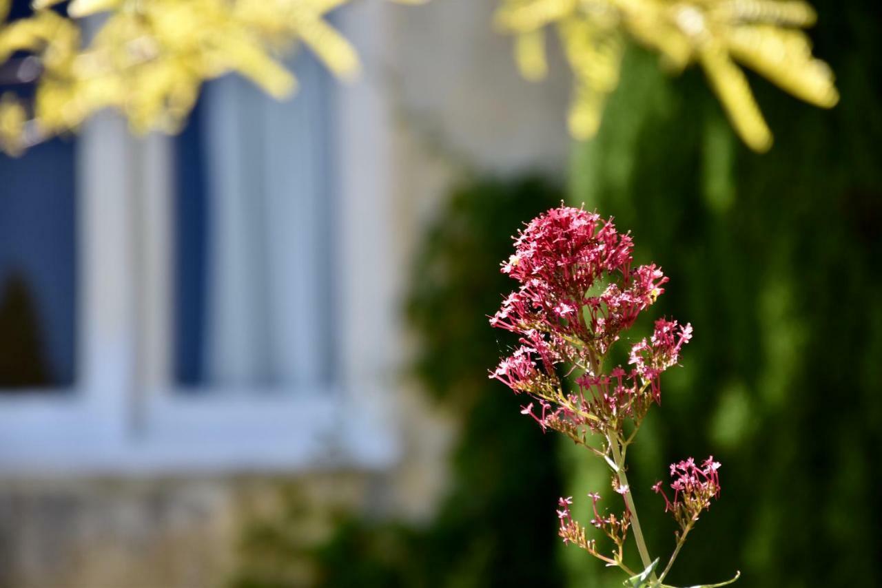 Villa Mallorca Red Hill South エクステリア 写真
